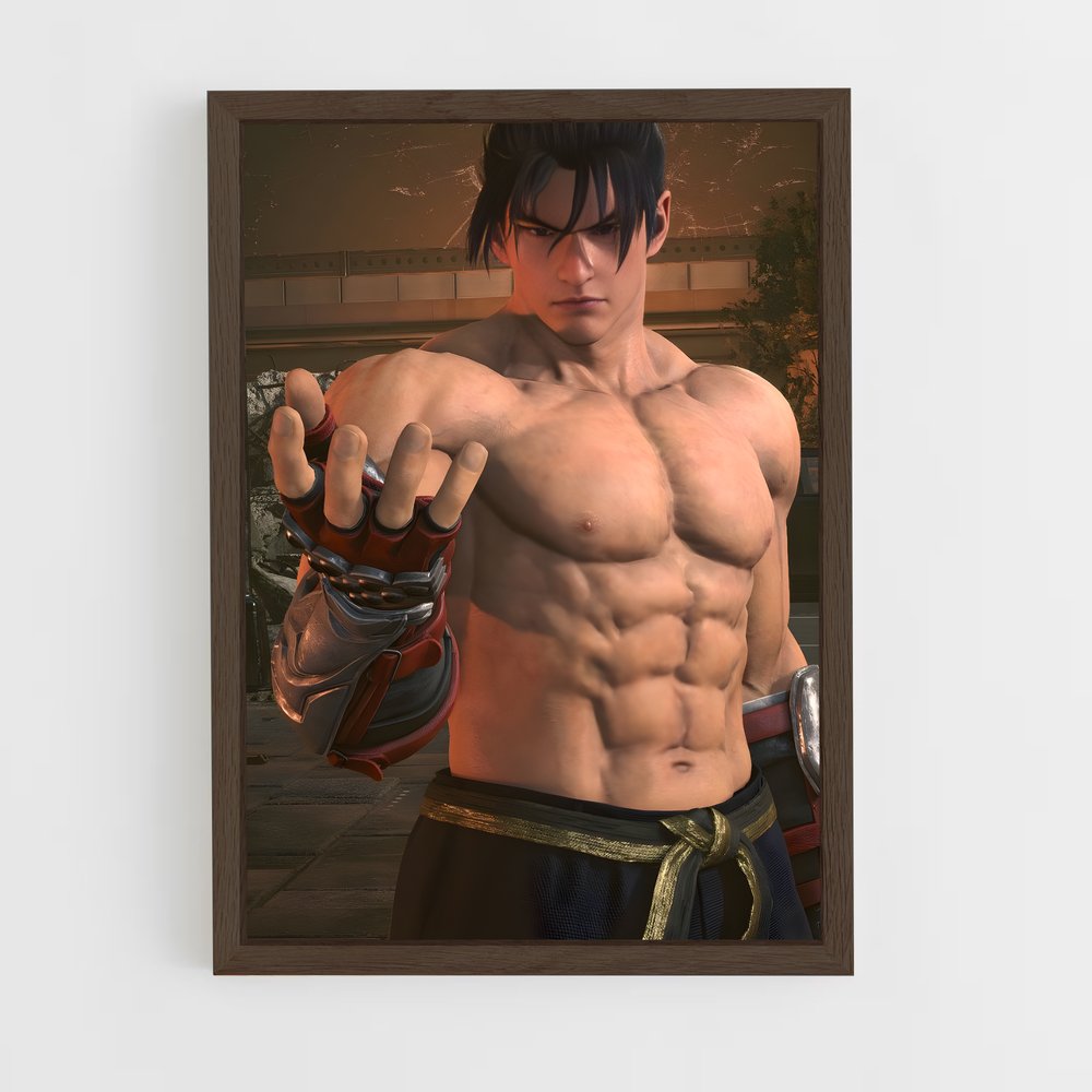Poster Jin kazama – affiche Tekken (vue 5)